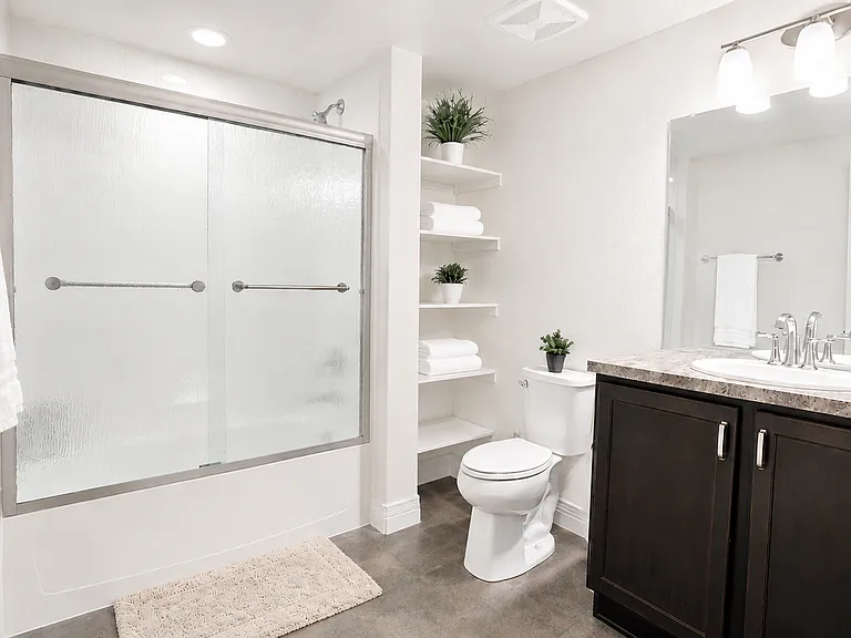 Basement Bathroom (Tub/Shower)