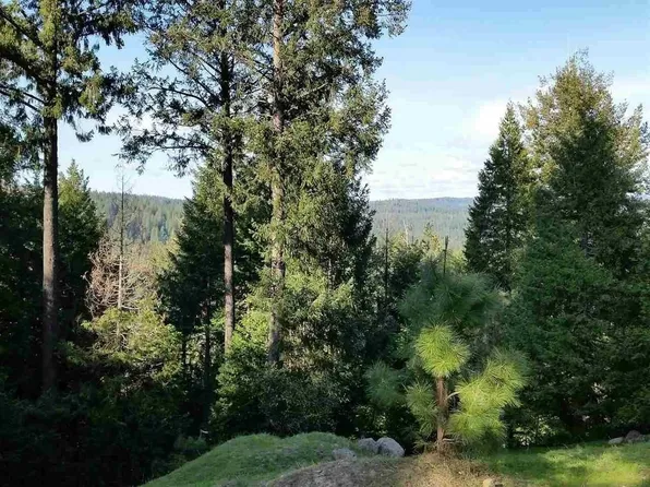 16482 Meadow Vista Dr, Pioneer, CA 95666