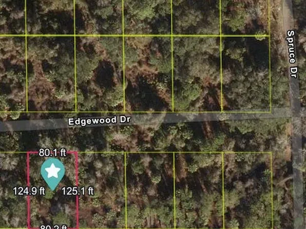 225 Edgewood Dr, Georgetown, FL 32139