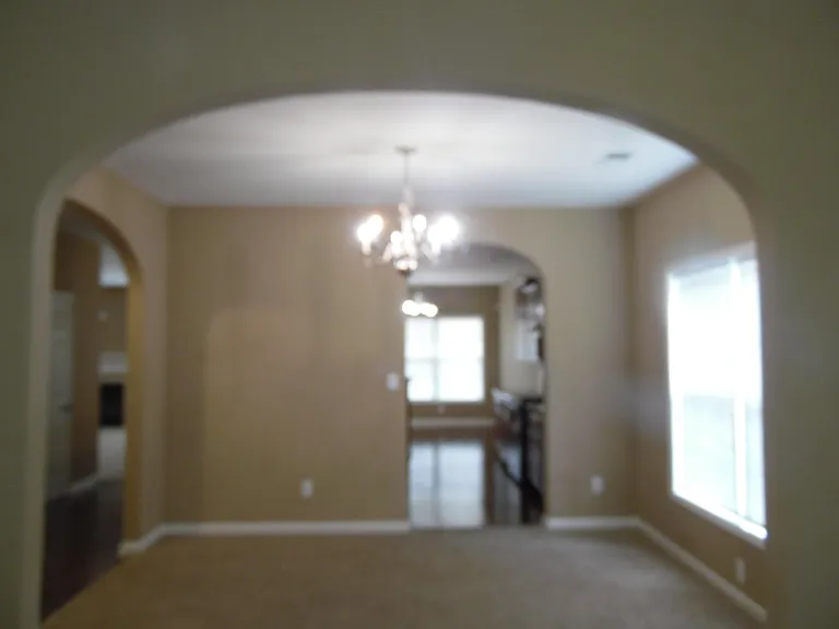 541 Bulrush Trce — Photo 2