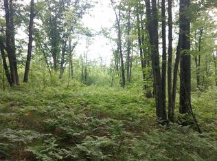 N Hubbard Lake Rd, Lincoln, MI 48742