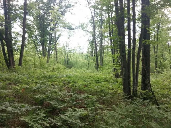 N Hubbard Lake Rd, Lincoln, MI 48742