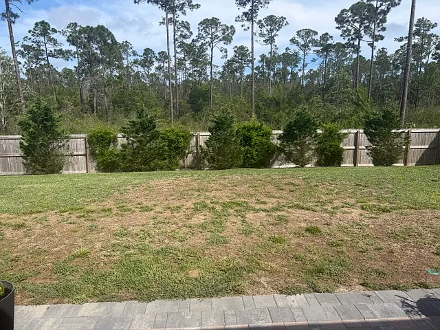 6596 Forest Bay Ave — Photo 4