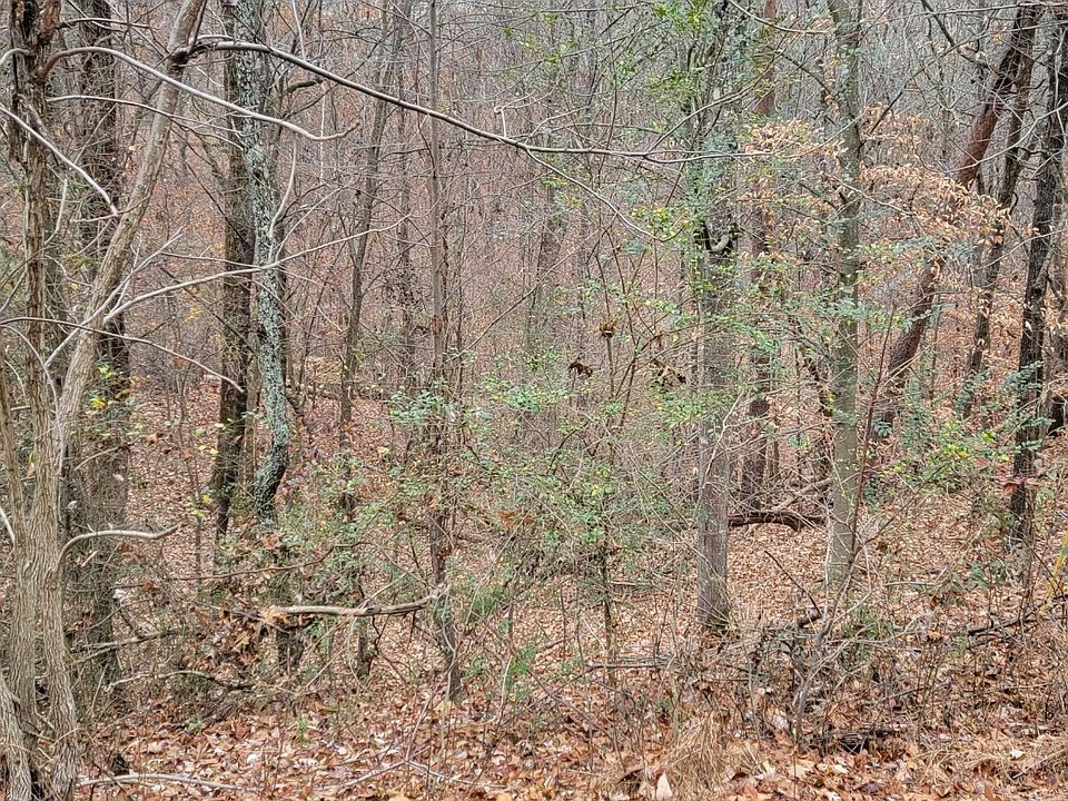 2nd image of 57 Dunridge Ln Lot 57