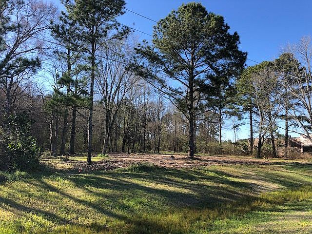 Highway 35 N, Forest, MS 39074 | MLS #1328634 | Zillow