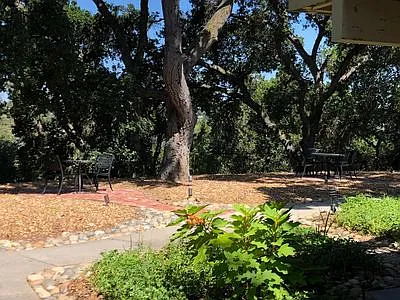 Live Oak Apartments — Photo 107