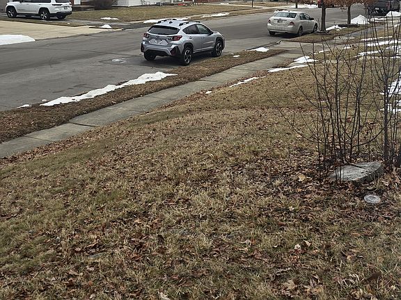 5th image of 2804 Holly Hill Dr