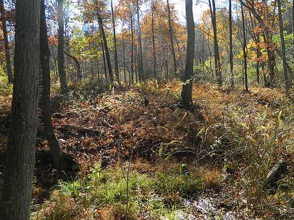 4th image of Windy Acres