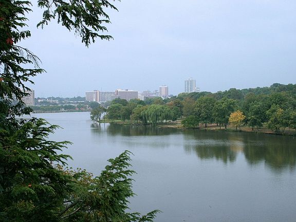 West view from the Lookout Tower (New Brunswick Skyline)