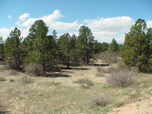 View from Road