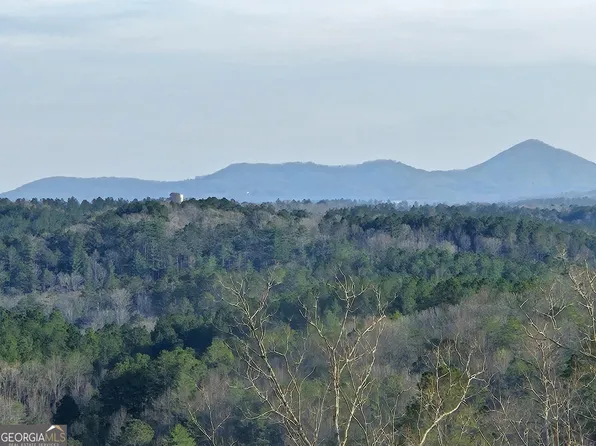 289 Anglers Ridge Rd, Talking Rock, GA 30175