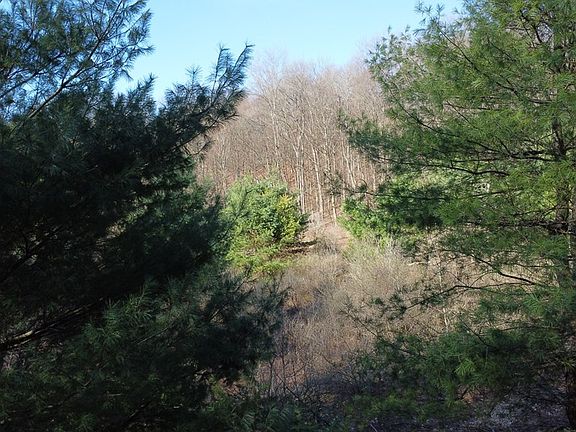 3rd image of 0 Fox Hollow Rd