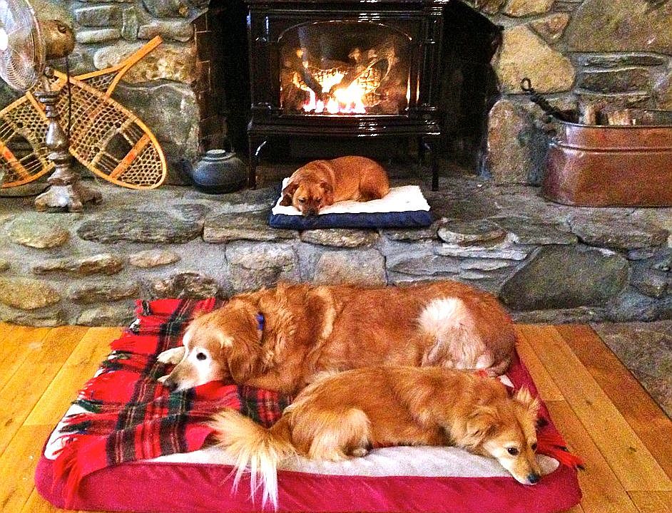 GAS BURNING STOVE/FIREPLACE