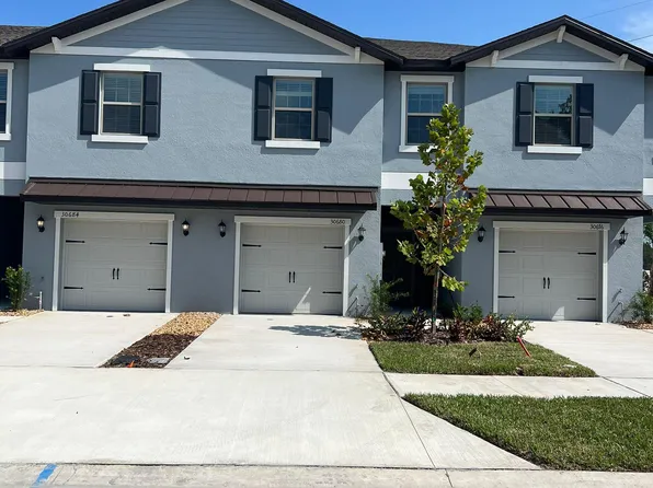 30680 Veridian Way, Wesley Chapel, FL 33545