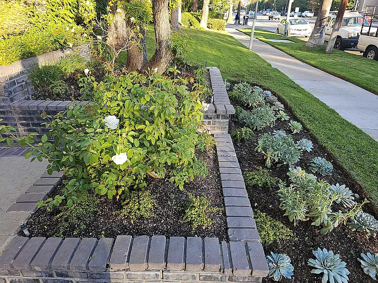 Sherman Way — Photo 2