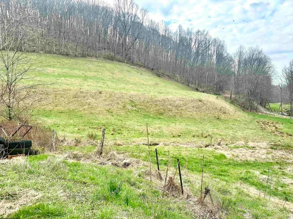 496 Dillon Hollow Rd, Jane Lew, WV 26378