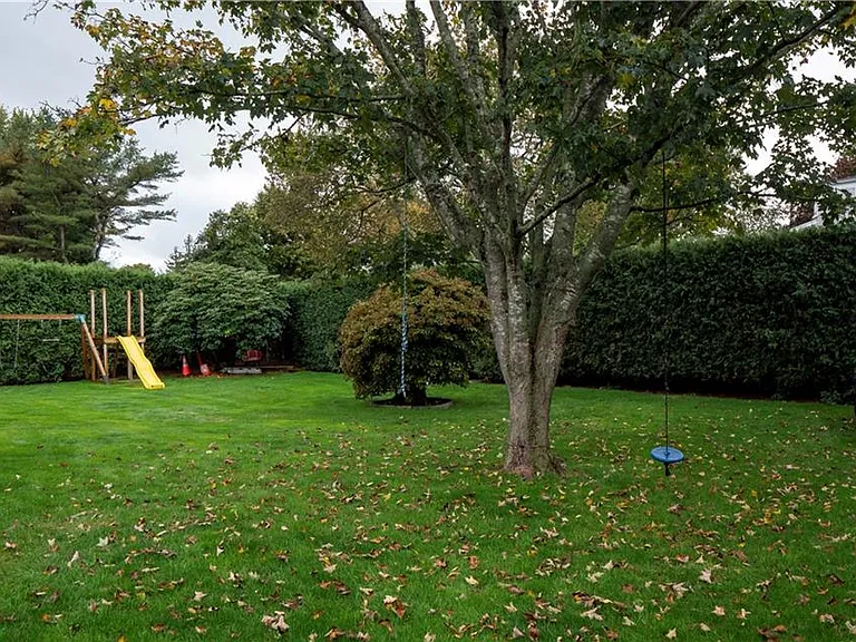 back yard