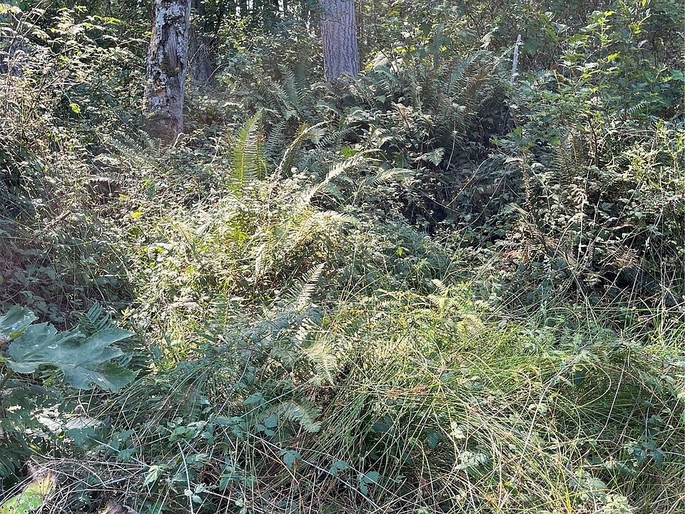 2nd image of 52 xx E Harbor Rd.