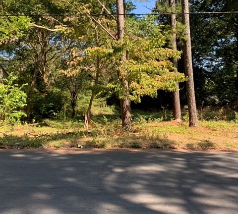 2nd image of 1317 Almont Dr SW Lot 0