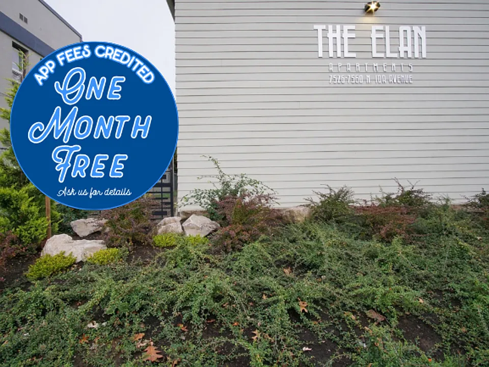 038 - The Elan