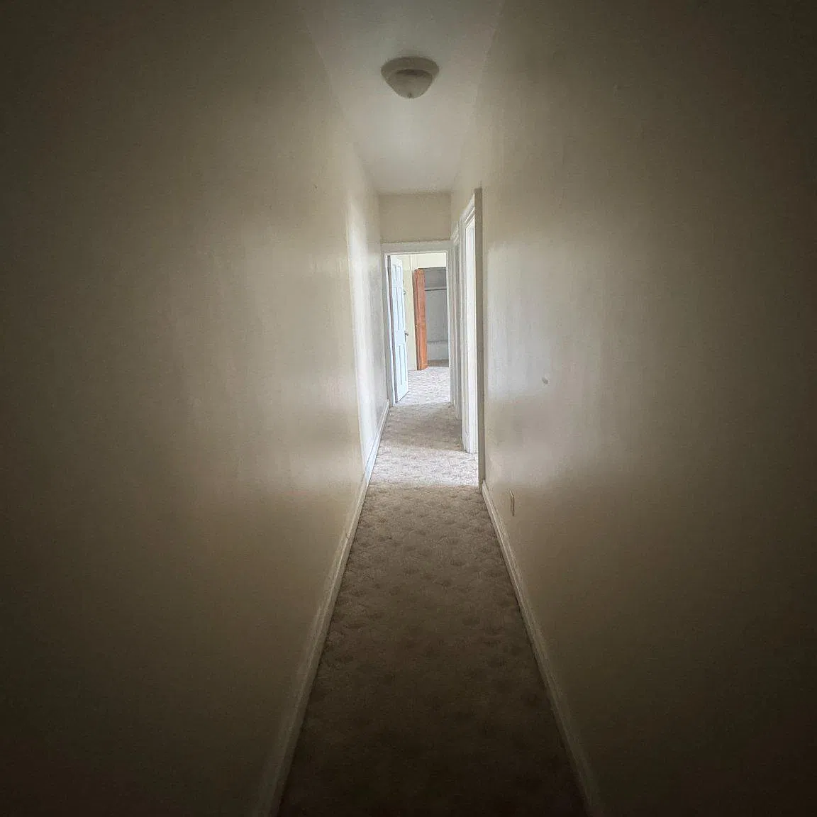 2 bed, 1.0 bath, 1200 sqft, $1,195 — Photo 4