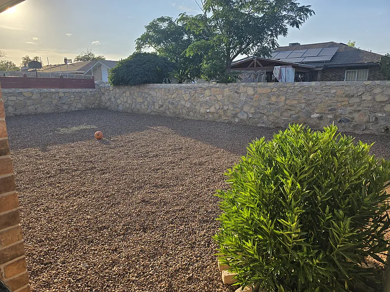 11833 Haddad Ct — Photo 9