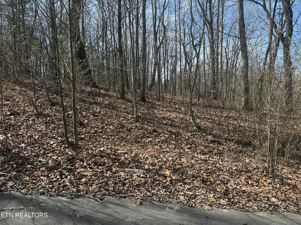 975 County Road 316 #139, Niota, TN 37826