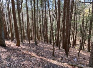 142 Carverton Rd, Shavertown, PA 18708