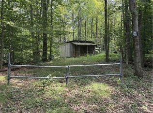 Hall Rd #49, Cold Brook, NY 13324