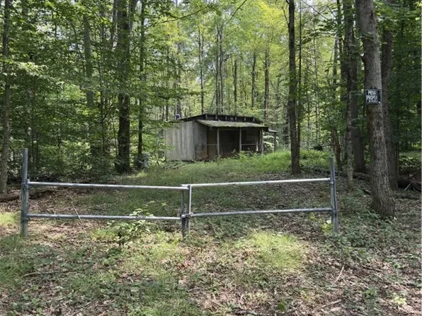 Hall Rd #49, Cold Brook, NY 13324