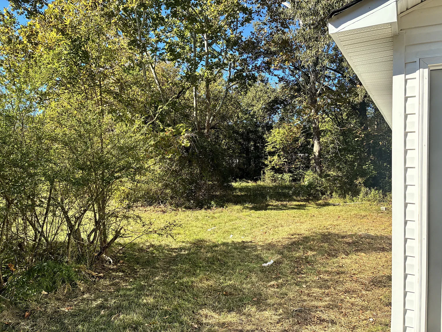3513 Forrest Avenue - 1 — Photo 4