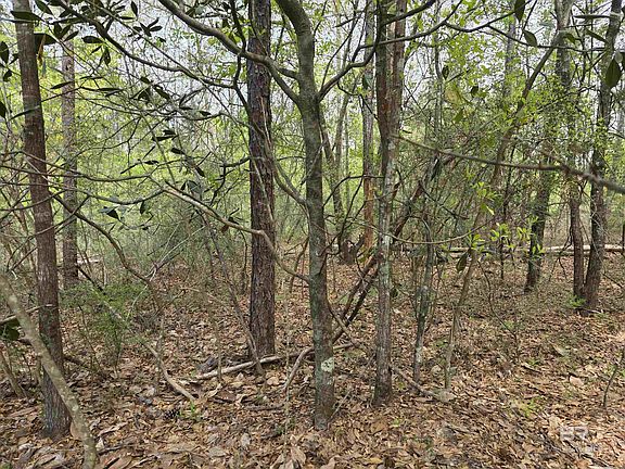 3rd image of 12287 Red Hill Road Ext