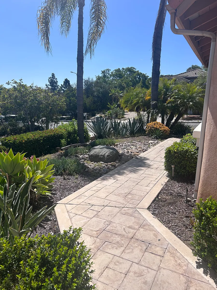 Building Photo - 649 Cantara Ln