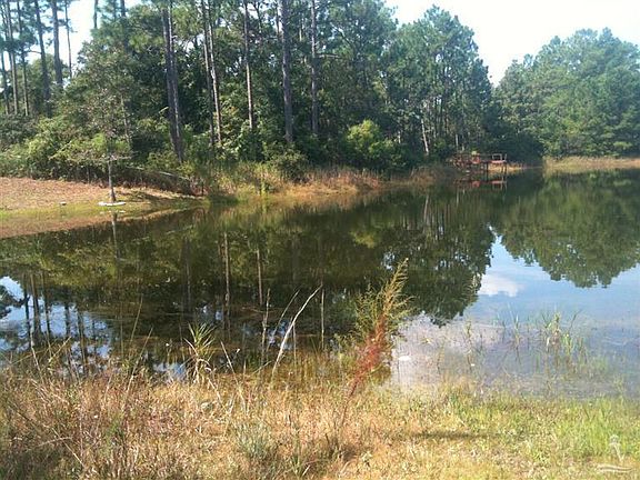 3rd image of 1391 Forest Lake Drive