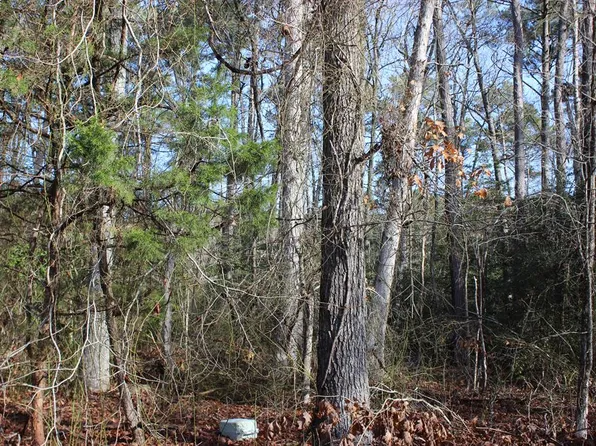 1975 Mayflower Dr #1975, Greenbackville, VA 23356