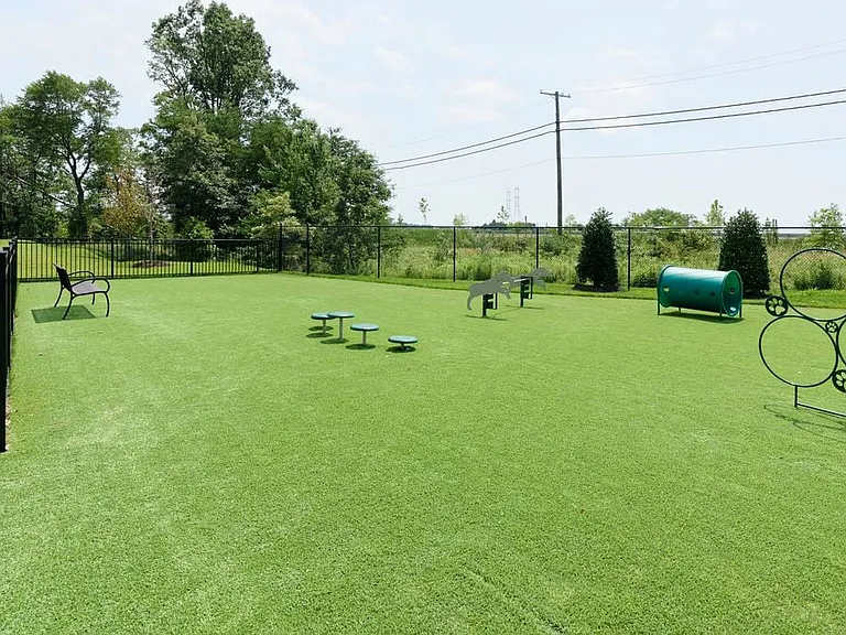 WAG pet park with exercise and training equipment and relief area