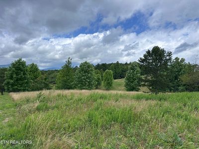 Tower Rd, Grandview, TN, 37337