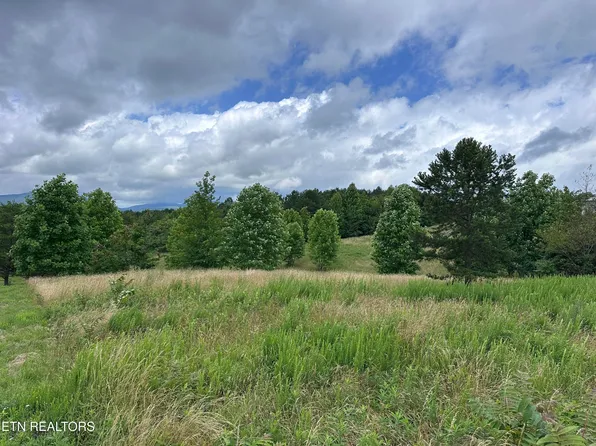 Tower Rd, Grandview, TN 37337