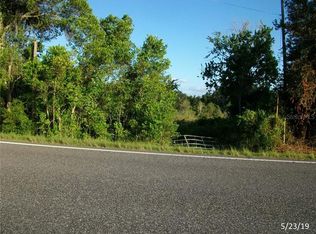 4114 Bridges Rd, Groveland, FL 34736