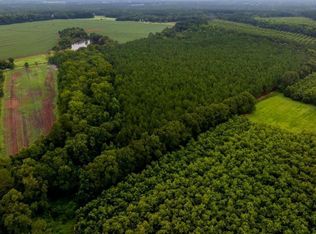 0 Wh Smith Sr Rd TRACT 6, Statesboro, GA 30458