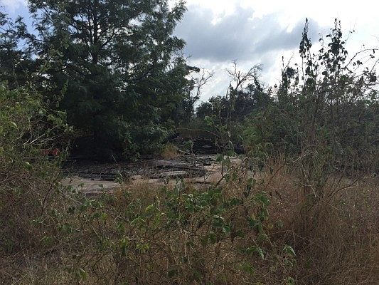 1st image of Orchid Pkwy Lot 22