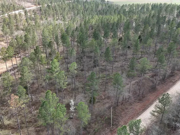 11 County Road 176, Piedmont, AL 36272