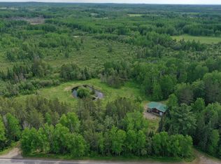 10846 Willow River Rd, Orr, MN 55771