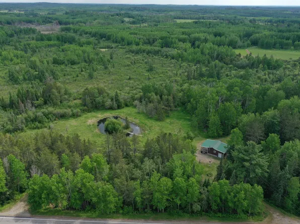 10846 Willow River Rd, Orr, MN 55771