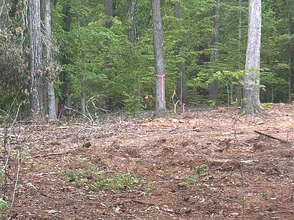 5th image of 0 Lake Tillery Rd