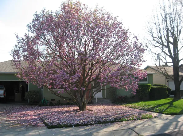 3227 E Meadow Ln, Visalia, CA 93292