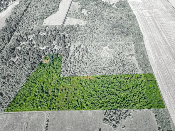 Danville Rd Lot 500, Creswell, OR 97426