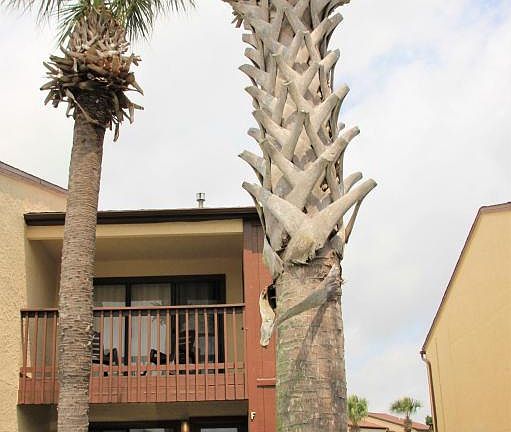 2nd image of 17751 Panama City Beach Pkwy Unit 1F