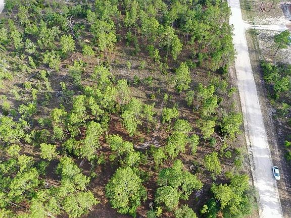 3rd image of 0000 NE 131st LOT 8 TER, WILLISTON FL 32696