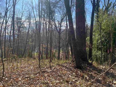 877 Flower Dr, Mc Gaheysville, VA, 22840